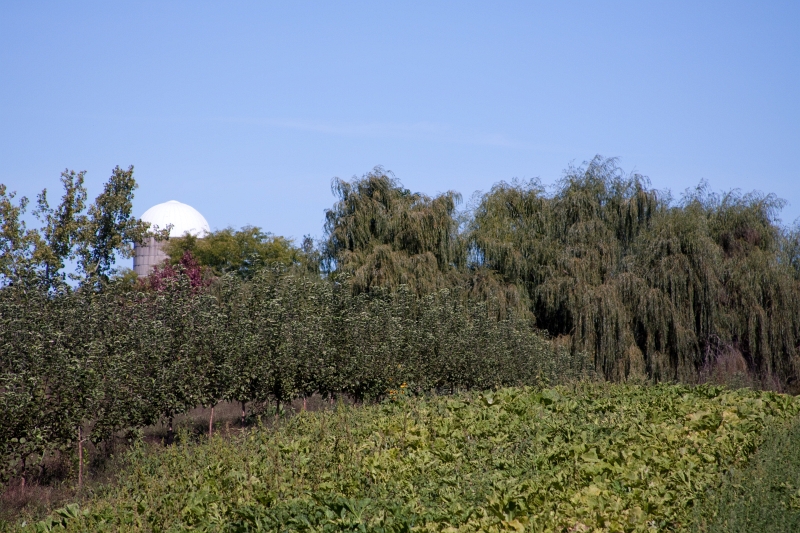 _MG_2435.jpg