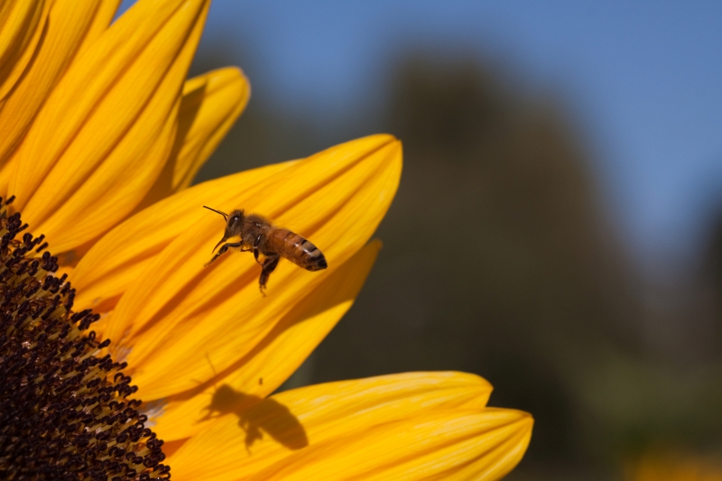 _MG_2477.jpg