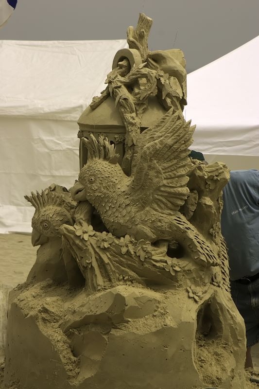 CRW_7029.jpg