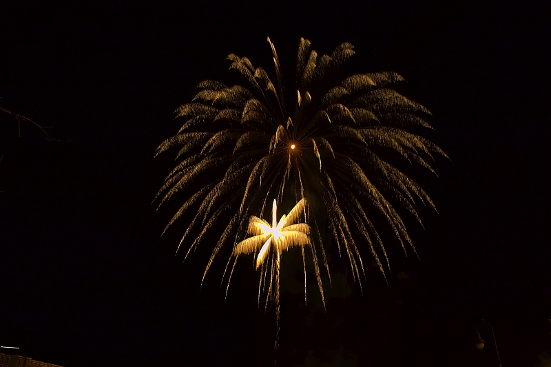 CRW_2356.jpg